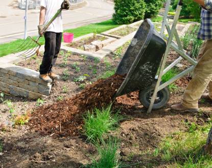FLOWER BED CLEANUP